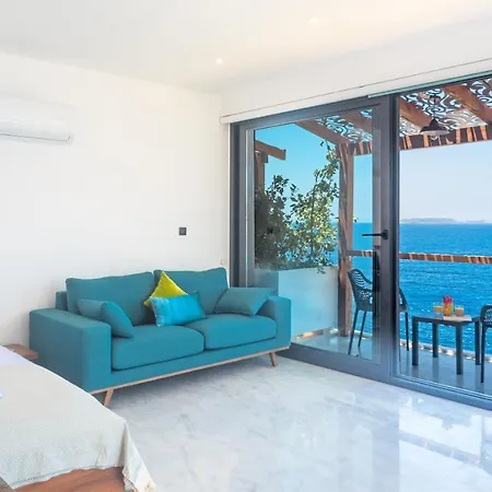 Mandalina (adults Only) * カシュ