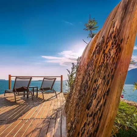 Mandalina (adults Only) カシュ