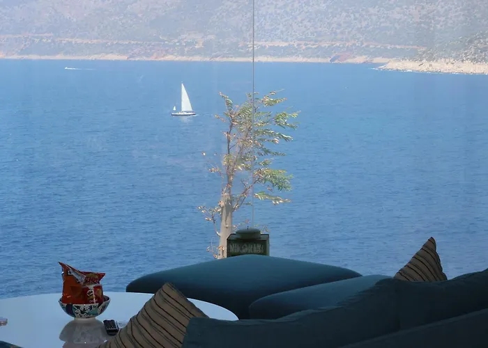 Mandalina (adults Only) * カシュ